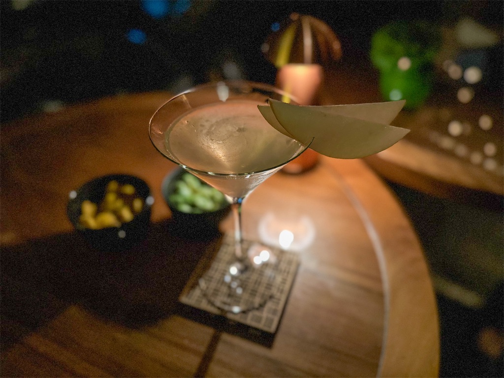 f:id:kisskillme:20230607011051j:image