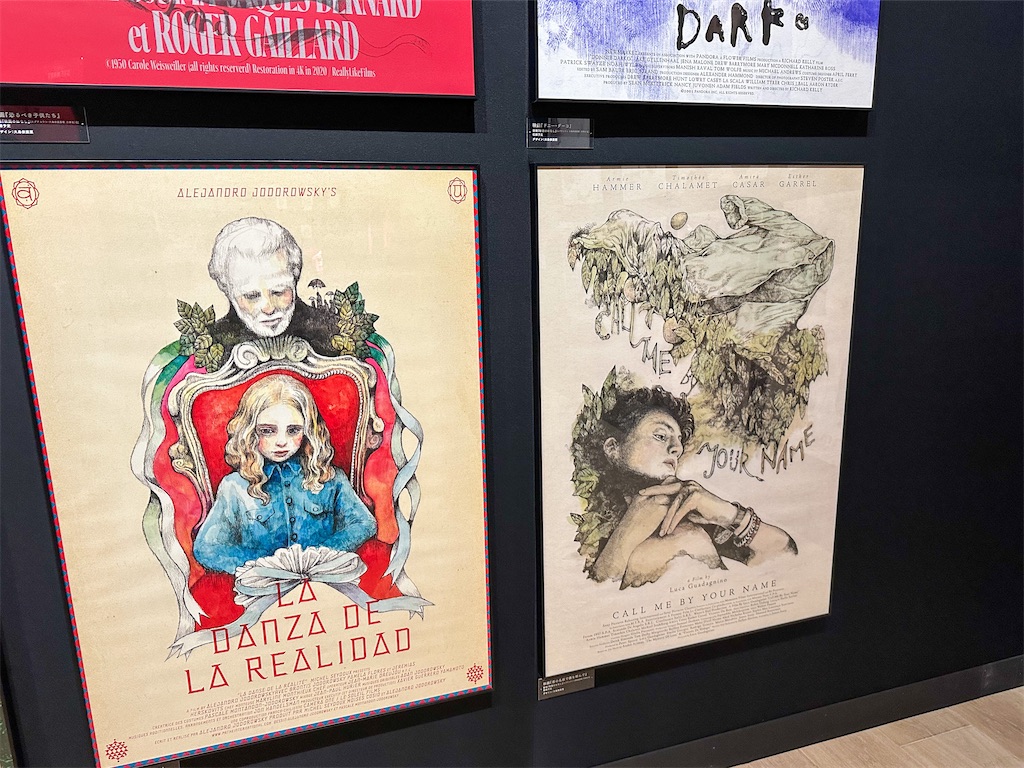 f:id:kisskillme:20230608020843j:image