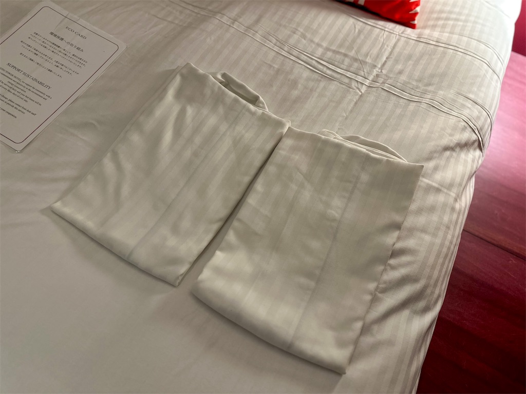 f:id:kisskillme:20240517013027j:image