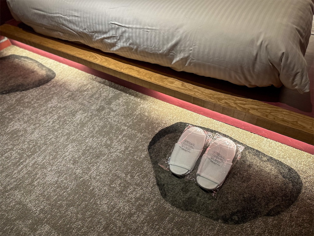 f:id:kisskillme:20240517013031j:image