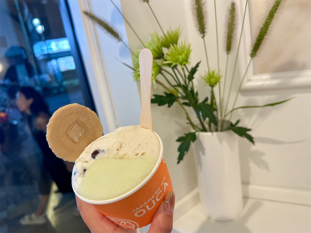 f:id:kisskillme:20240627174351j:image f:id:kisskillme:20240627174351j:image