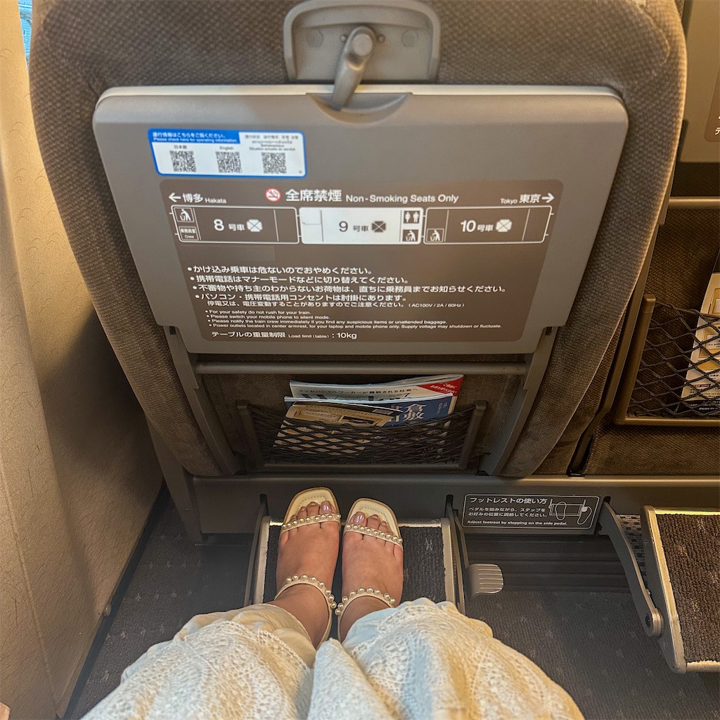 f:id:kisskillme:20240723213950j:image