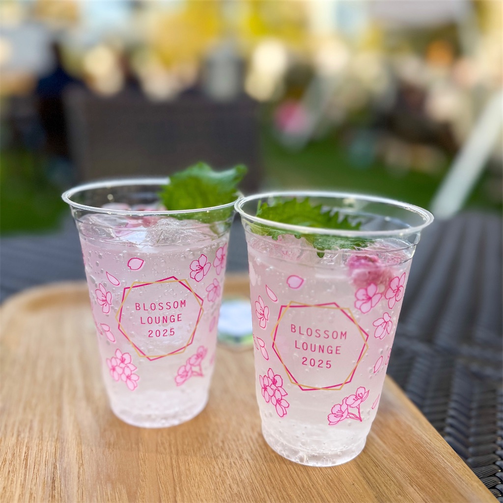 f:id:kisskillme:20250407143045j:image