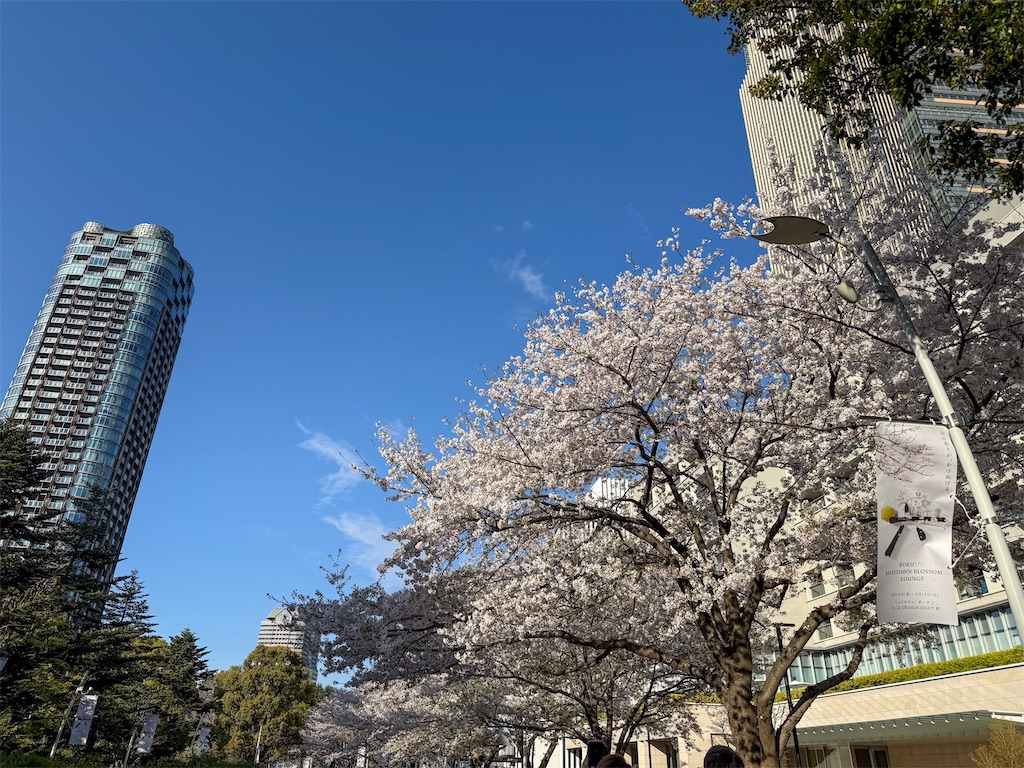 f:id:kisskillme:20250407143210j:image