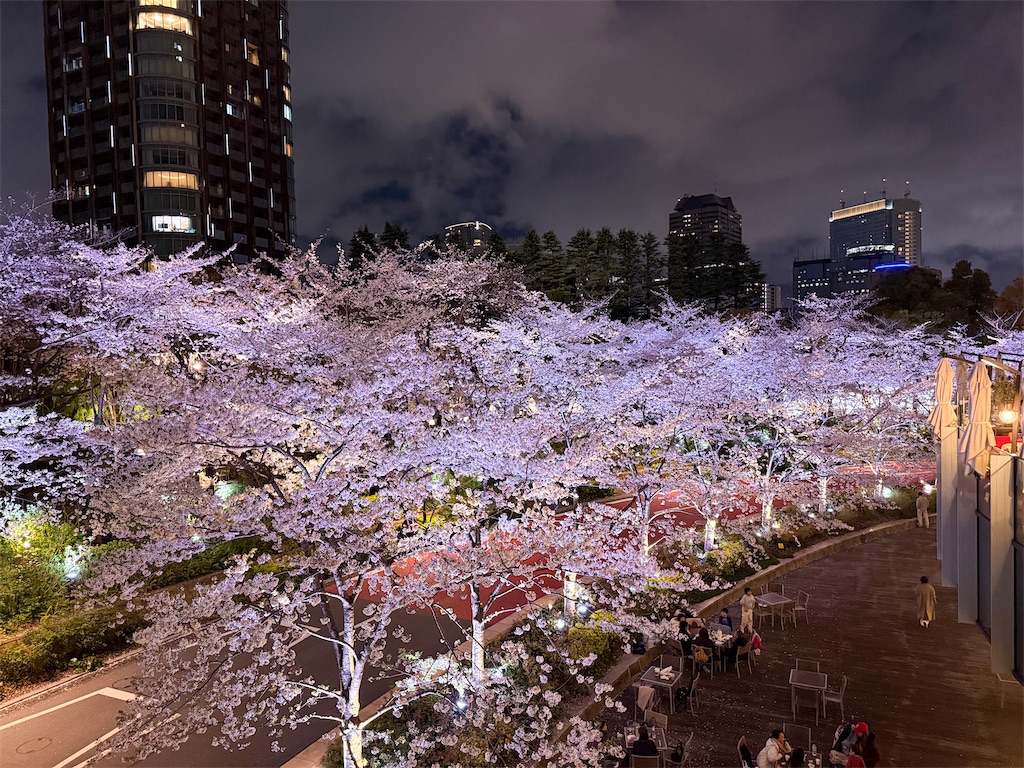 f:id:kisskillme:20250407143226j:image