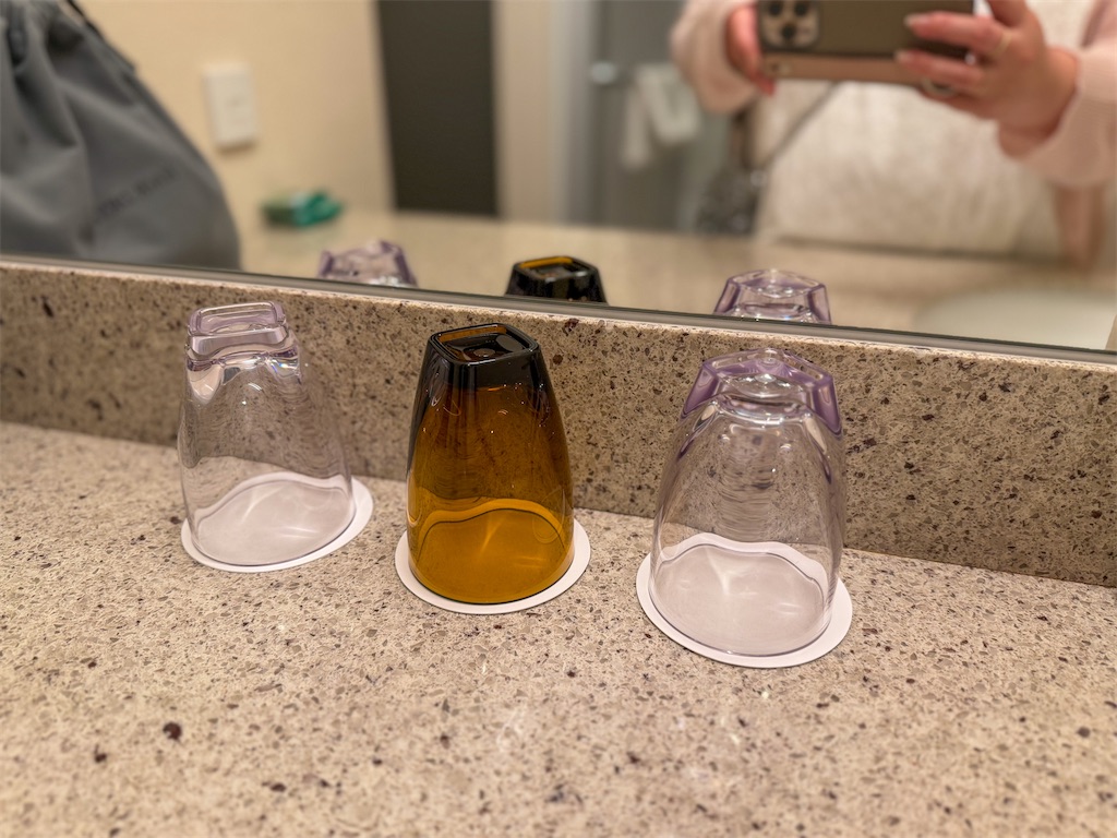 f:id:kisskillme:20250625091037j:image