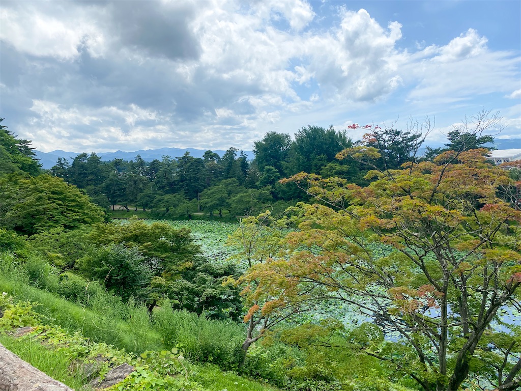 f:id:kisskillme:20251213172943j:image