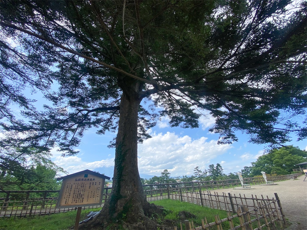 f:id:kisskillme:20251213172954j:image