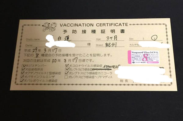 f:id:kisyu-inu:20170331150240j:plain f:id:kisyu-inu:20170331150240j:plain