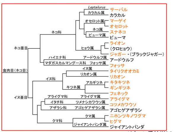 f:id:kisyu-inu:20171005091639j:plain f:id:kisyu-inu:20171005091639j:plain