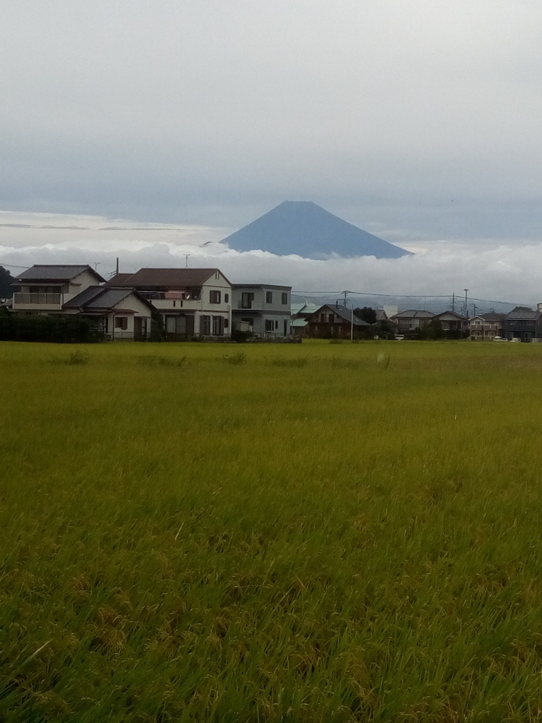 f:id:kita0525:20161027230214j:plain f:id:kita0525:20161027230214j:plain
