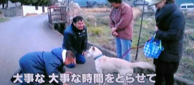 f:id:kitafumi:20180326135123j:plain