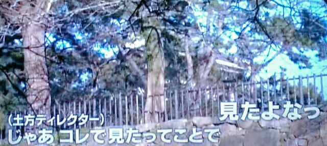 f:id:kitafumi:20180327133912j:plain