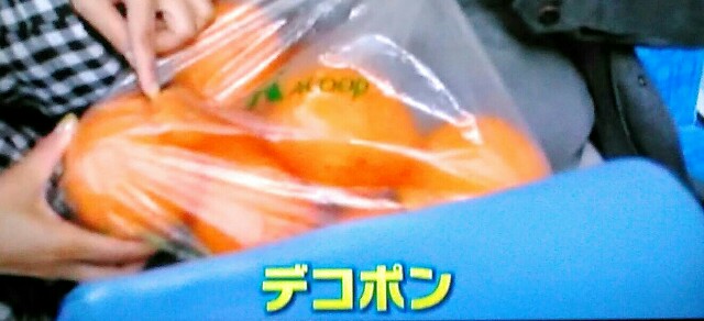 f:id:kitafumi:20180615105018j:plain