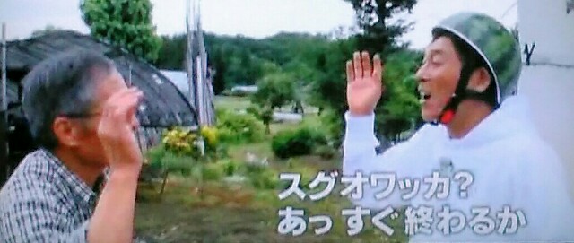 f:id:kitafumi:20180727082127j:plain