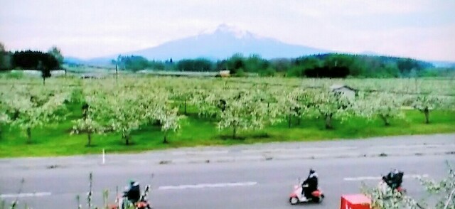 f:id:kitafumi:20180815225112j:plain