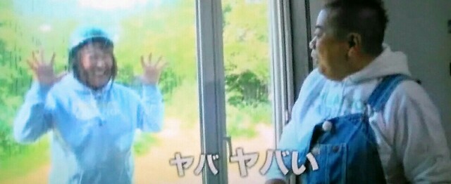 f:id:kitafumi:20180902182406j:plain