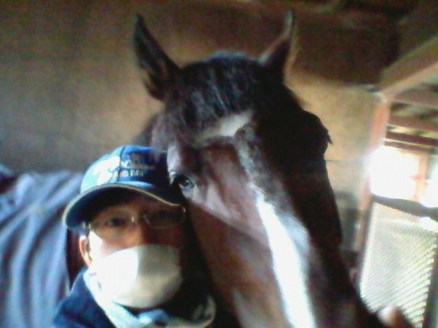 f:id:kitagawa-stable:20101114024445j:image f:id:kitagawa-stable:20101114024445j:image