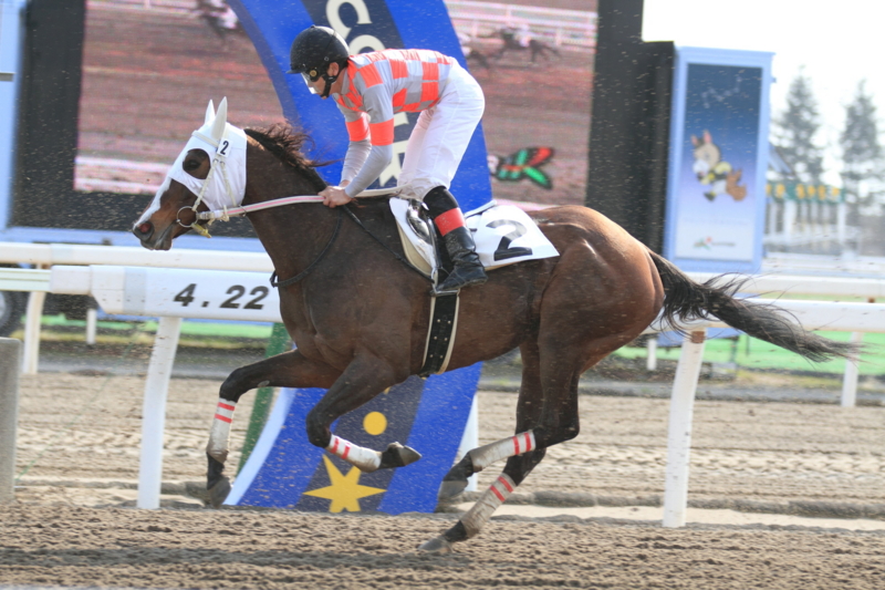 f:id:kitagawa-stable:20150423012732j:image f:id:kitagawa-stable:20150423012732j:image