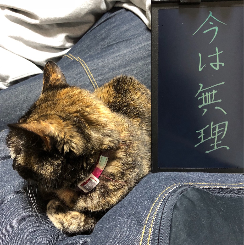 f:id:kitagawaanimals:20191226221922j:image