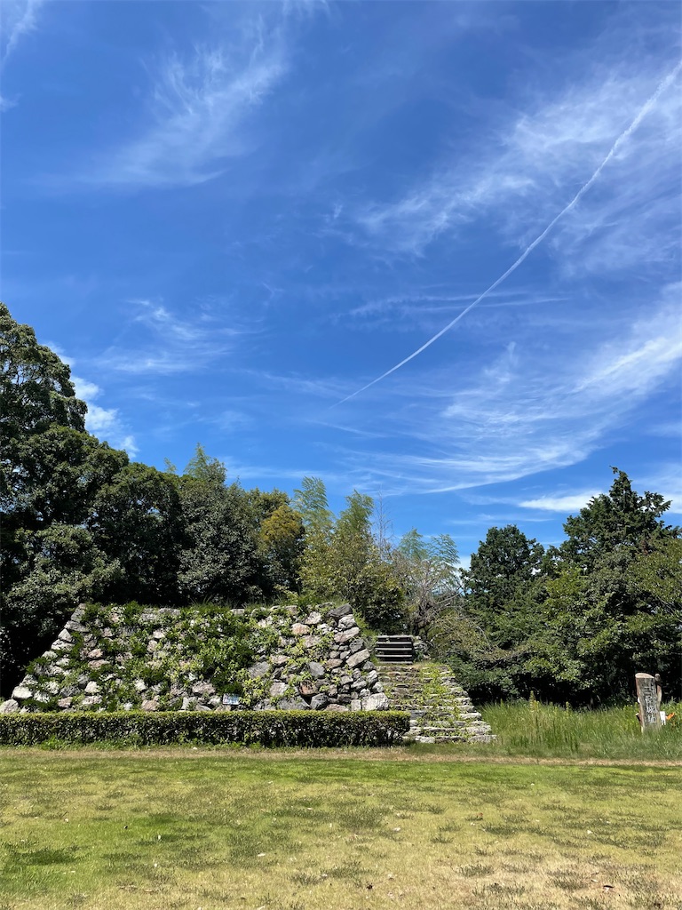 f:id:kitagawaanimals:20250803084825j:image