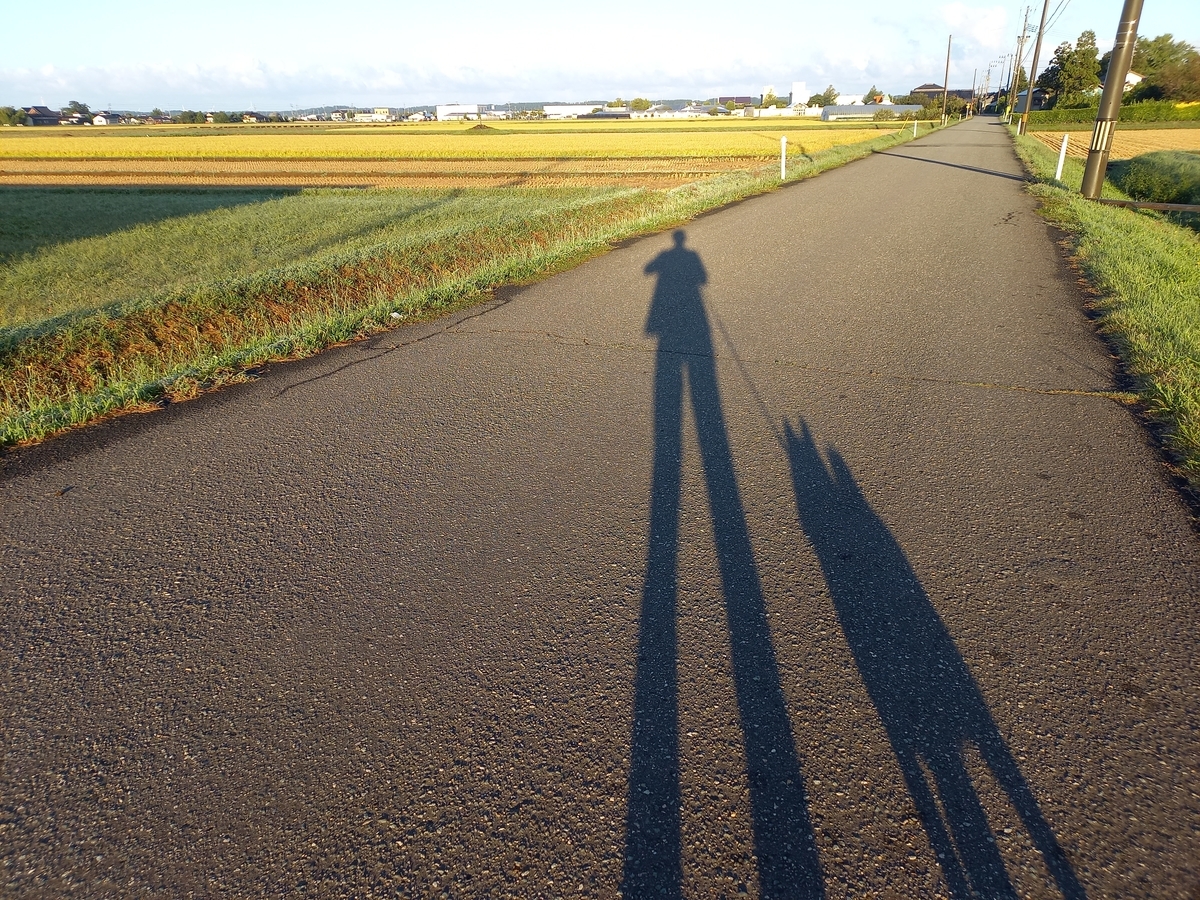 f:id:kitaguninooyaji:20210919065402j:plain