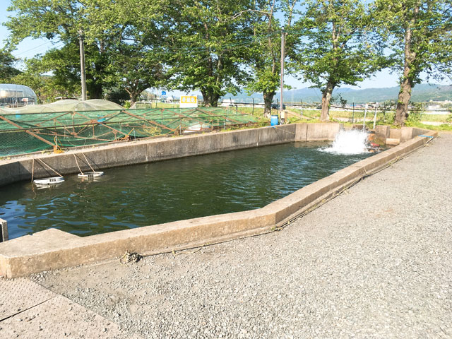 f:id:kitahana_tarosuke:20180507233325j:plain