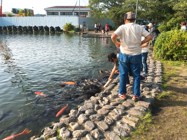 f:id:kitahana_tarosuke:20180507235229j:plain