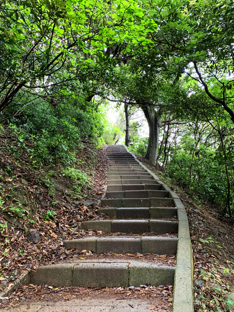 遊歩道の石段