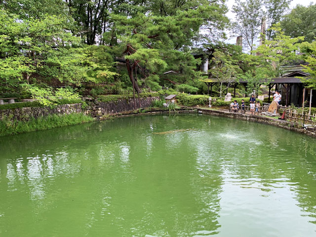 博石館　森の池