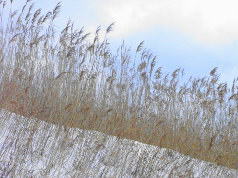 f:id:kitahira:20181117121456j:plain f:id:kitahira:20181117121456j:plain