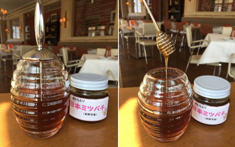 f:id:kitahira:20181125125509j:plain