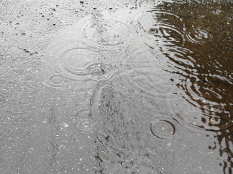 f:id:kitahira:20181125125554j:plain