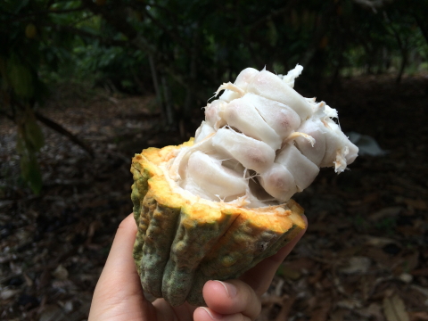 f:id:kitahira:20190303091758j:plain