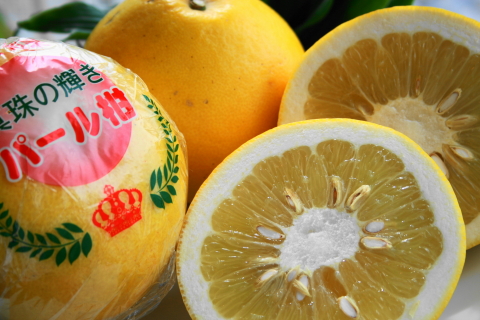 f:id:kitahira:20190303093029j:plain