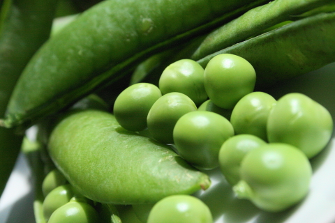 f:id:kitahira:20190308181227j:plain