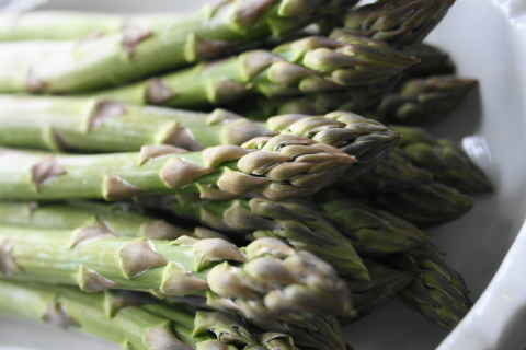 f:id:kitahira:20190308181315j:plain