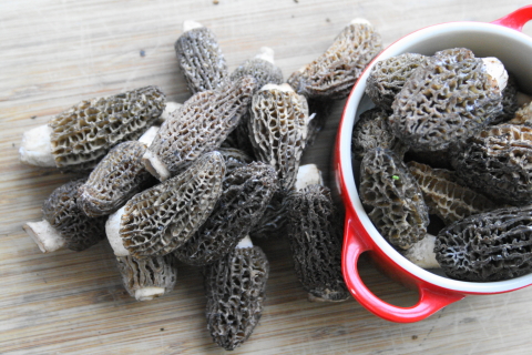 f:id:kitahira:20190308181344j:plain