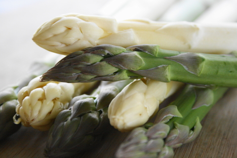 f:id:kitahira:20190308181657j:plain