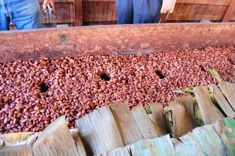 f:id:kitahira:20190317141905j:plain