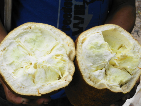 f:id:kitahira:20190317143211j:plain