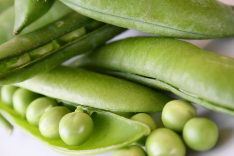 f:id:kitahira:20190327102802j:plain