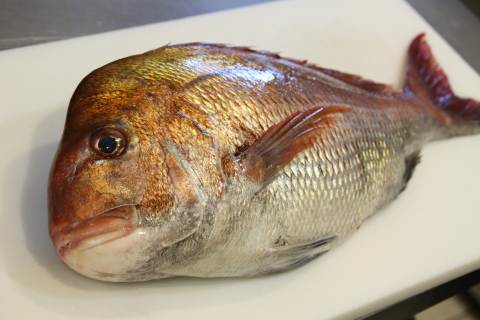 f:id:kitahira:20190327103115j:plain