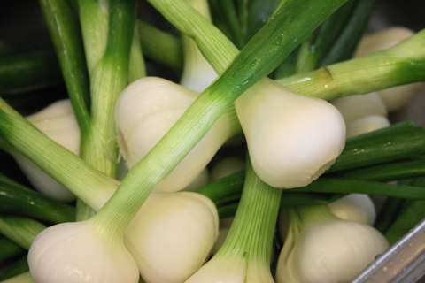 f:id:kitahira:20190327103215j:plain