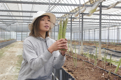 f:id:kitahira:20190330113028j:plain