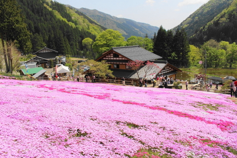 f:id:kitahira:20191105163120j:plain f:id:kitahira:20191105163120j:plain