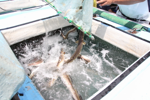 f:id:kitahira:20191126232322j:plain