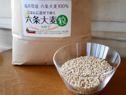 f:id:kitahira:20191210153731j:plain