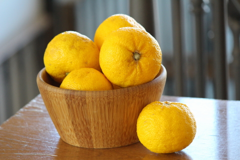 f:id:kitahira:20191210153819j:plain