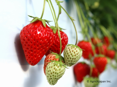 f:id:kitahira:20200107215216j:plain